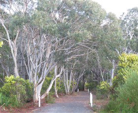 Booderee National Park: Munyunga Waraga Dhugan Walking Trail - Sydney Resort 3