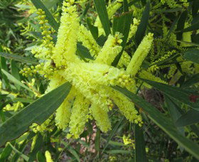 Booderee National Park: Munyunga Waraga Dhugan Walking Trail - Sydney Resort 1