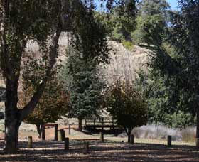 Oak Grove Walk, Balingup - Accommodation Sydney 2