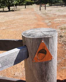 Oak Grove Walk, Balingup - Accommodation Sydney 3