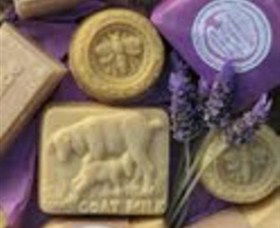 Accommodation Sydney