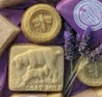 Honeycomb Valley Farm - Accommodation Sydney