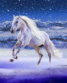 Australian Outback Spectacular: High Country Legends - Accommodation Sydney 1