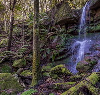 Coorabakh National Park - Sydney 4u
