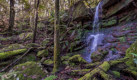 Coorabakh National Park - Sydney Resort 0