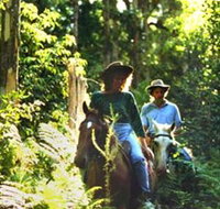 Clarendon Forest Retreat Horse Riding - Sydney Resort
