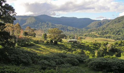 Mount Nardi Picnic Area - Accommodation Sydney 0