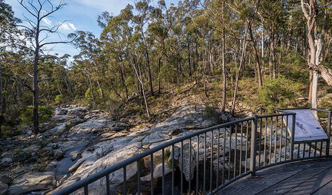 Myanba Gorge Walking Track - Accommodation Sydney 0