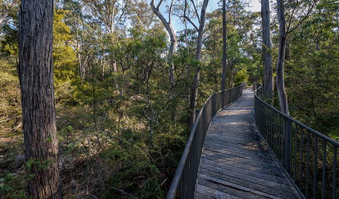 Myanba Gorge Walking Track - Accommodation Sydney 1