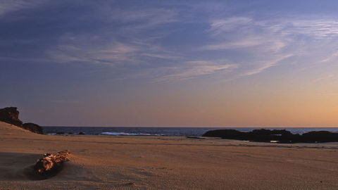 Bongil Bongil National Park - Sydney Resort 2