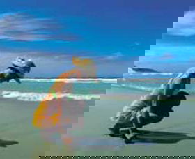 Diamond Beach - Sydney 4u 0