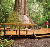 Burrawan State Forest - Accommodation Sydney