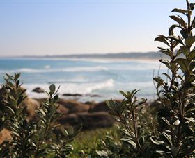 Cape Conran Coastal Park - Accommodation Sydney 0