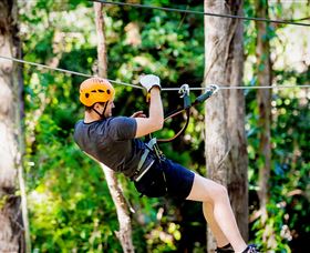 TreeTop Challenge Currumbin - Accommodation Sydney 0