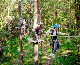 TreeTop Challenge Currumbin - Accommodation Sydney 1
