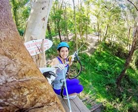 TreeTop Challenge Currumbin - Accommodation Sydney 3