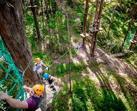 TreeTop Challenge Currumbin - Accommodation Sydney 2