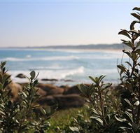 Cape Conran Nature Trail - Accommodation Sydney