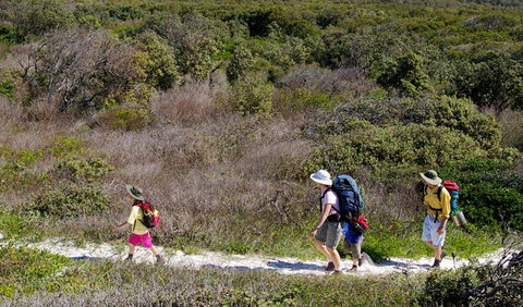 Yuraygir Coastal Walk - Sydney Resort 0