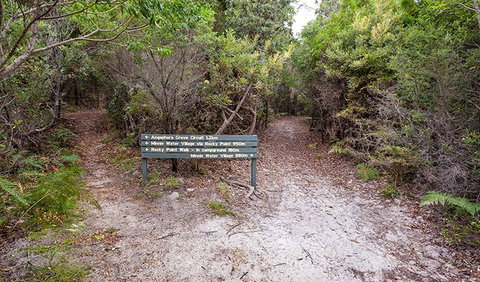 Angophora Grove Walking Track - Sydney Resort 0