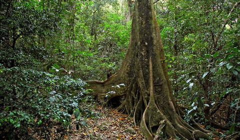 Iluka Nature Reserve - Sydney 4u 2