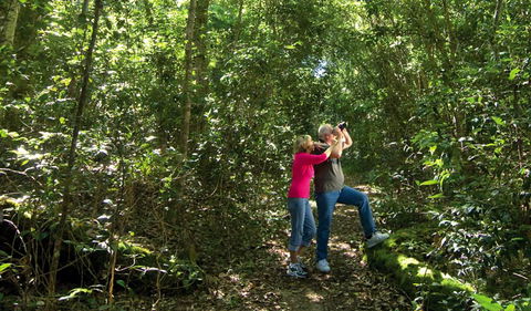 Iluka Nature Reserve - Sydney 4u 0