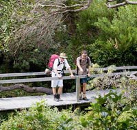 Wilsons Headland walking track - Accommodation Sydney
