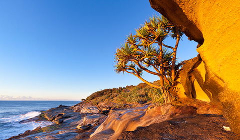 Angourie To Brooms Head - Accommodation Sydney 1