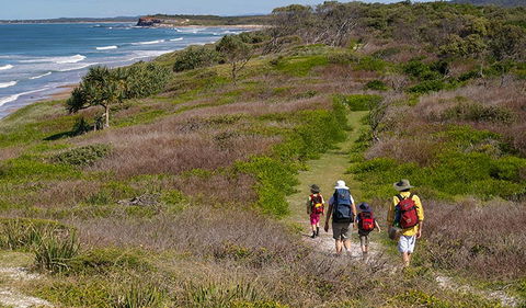 Angourie To Brooms Head - Accommodation Sydney 3