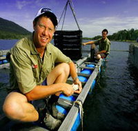 Armstrong Oysters - Accommodation Sydney