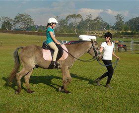 Port Macquarie Horse Riding Centre - Accommodation Sydney 0