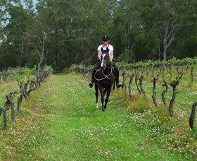 Port Macquarie Horse Riding Centre - Accommodation Sydney 1