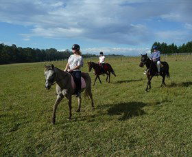 Port Macquarie Horse Riding Centre - Accommodation Sydney 5