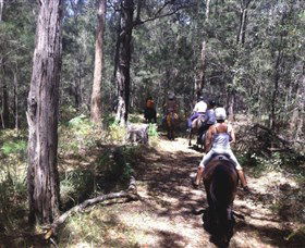 Port Macquarie Horse Riding Centre - Accommodation Sydney 4