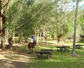 Port Macquarie Horse Riding Centre - Accommodation Sydney 6
