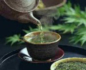 World Par-TEA - Accommodation Sydney 0