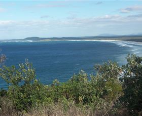 Delicate Beach - Sydney 4u 0