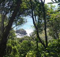 Rainforest walking track - Sydney Resort