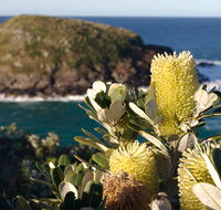 Green Island walking track - Sydney Resort