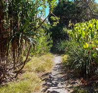 North Head walking track - Accommodation Sydney