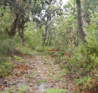 Kinchela Trig Lookout walk - Sydney 4u