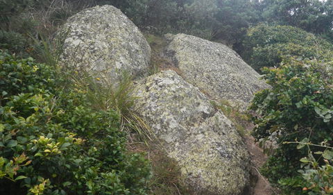 Korogoro Walking Track - Accommodation Sydney 2