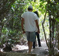 Three Sisters walking track - Accommodation Sydney