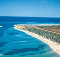 Monkey Mia - Accommodation Sydney