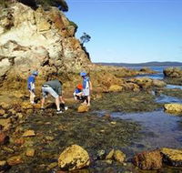 Sapphire Coast Marine Discovery Centre - Sydney 4u