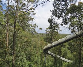 Tarkine Forest Adventures - Dismal Swamp - Sydney Resort 1
