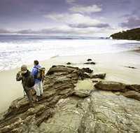 Wilderness Coast Walk - Accommodation Sydney