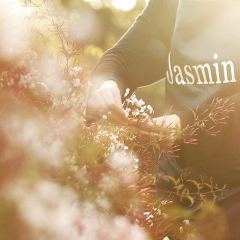 Jasmin Organics Skincare Farm And Factory - Accommodation Sydney 8