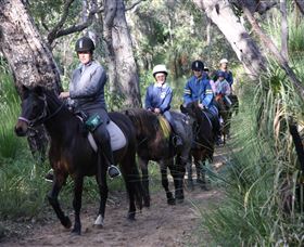 Mirravale Horse Riding School - Accommodation Sydney 0