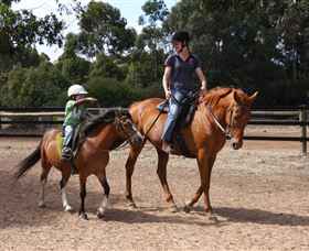 Mirravale Horse Riding School - Accommodation Sydney 1